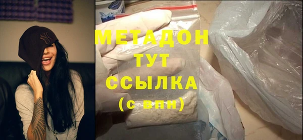 мдпв Рославль