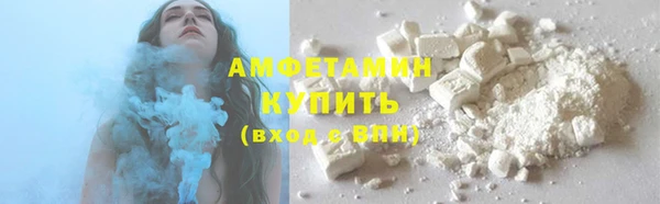 мдпв Рославль
