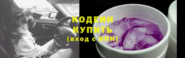 мдпв Рославль