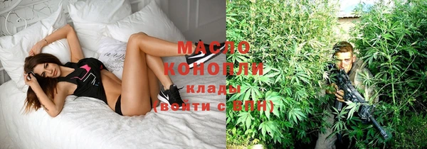 мдпв Рославль