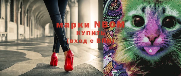 мдпв Рославль