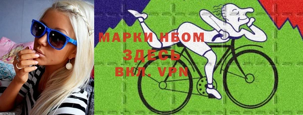 мдпв Рославль