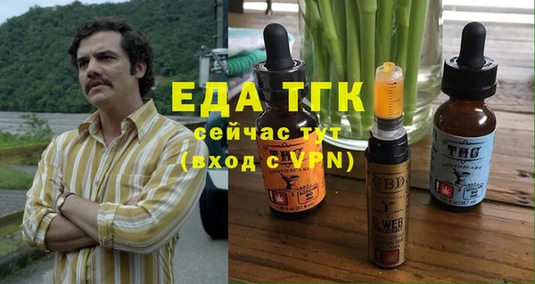 мдпв Рославль