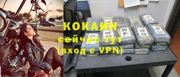 мдпв Рославль