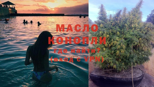 мдпв Рославль