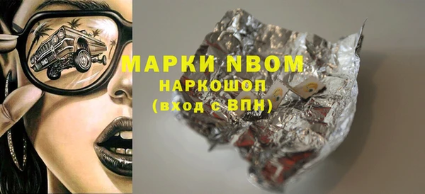 мдпв Рославль