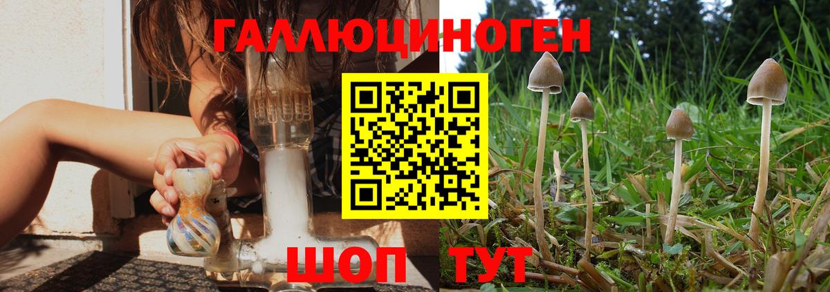 Псилоцибиновые грибы Psilocybine cubensis  Псилоцибиновые грибы мицелий  Барабинск  Вход с VPN 