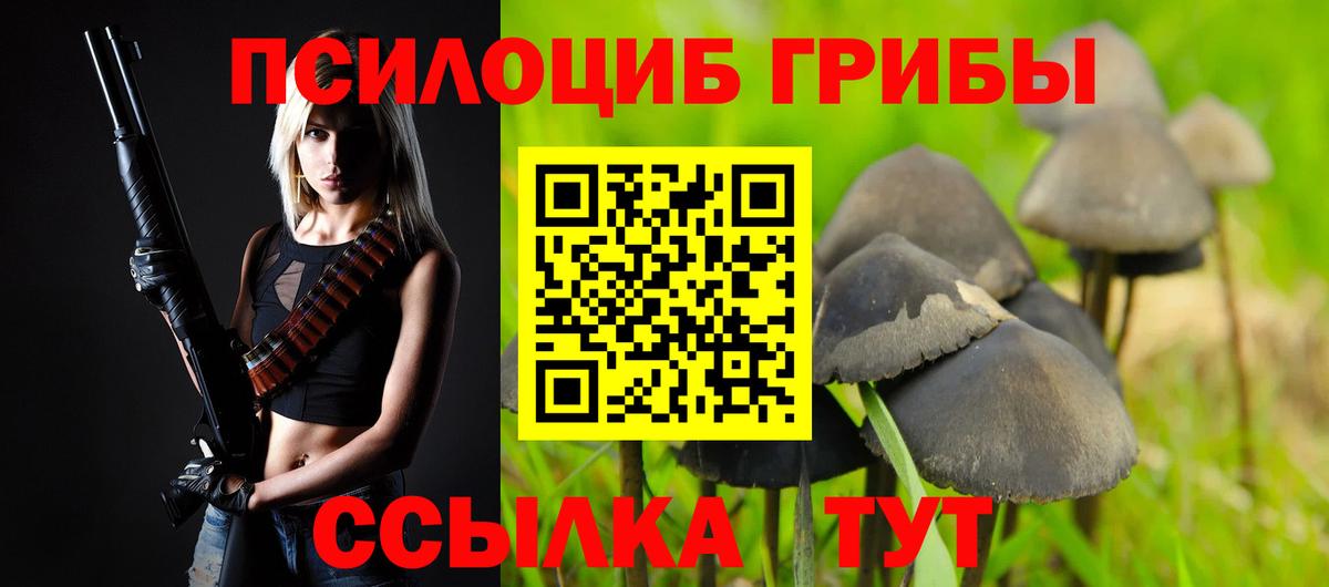 A PVP Барабинск